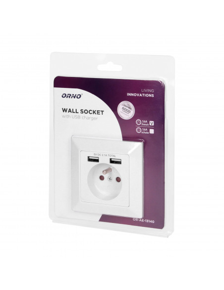 Gniazdo pojedyncze 2P+Z, USBx2