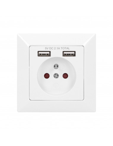 Gniazdo pojedyncze 2P+Z, USBx2