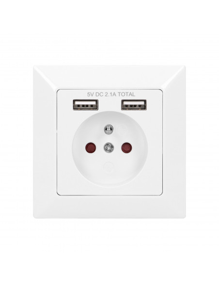 Gniazdo pojedyncze 2P+Z, USBx2