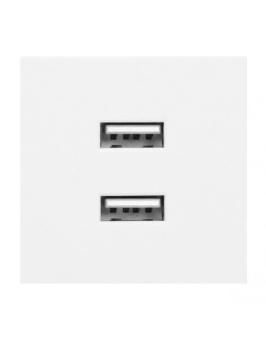 NOEN USB x 2, podwójny port modułowy...