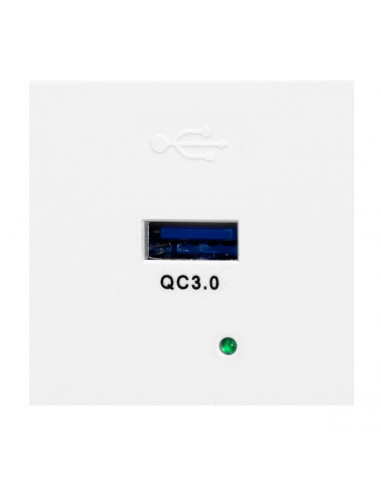 NOEN USBQ, port modułowy 45x45mm z...