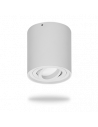 Oprawy downlight (wymienne źródło światła)